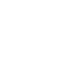 51ff icon