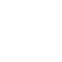 51ff icon