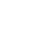 51ff icon