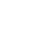 51ff icon