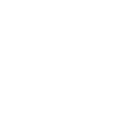 51ff icon