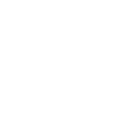 51ff icon